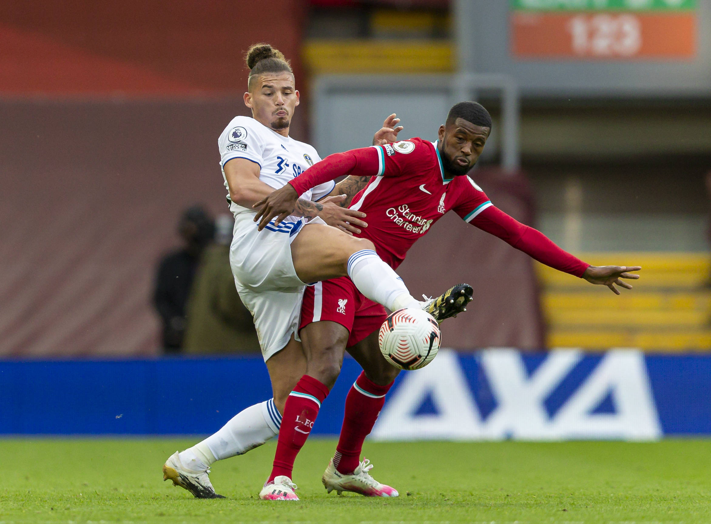 比德布劳内 比德布劳内