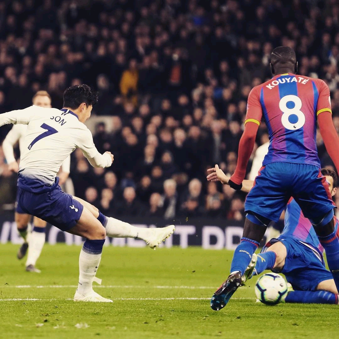 他们赢得了 他们赢得了